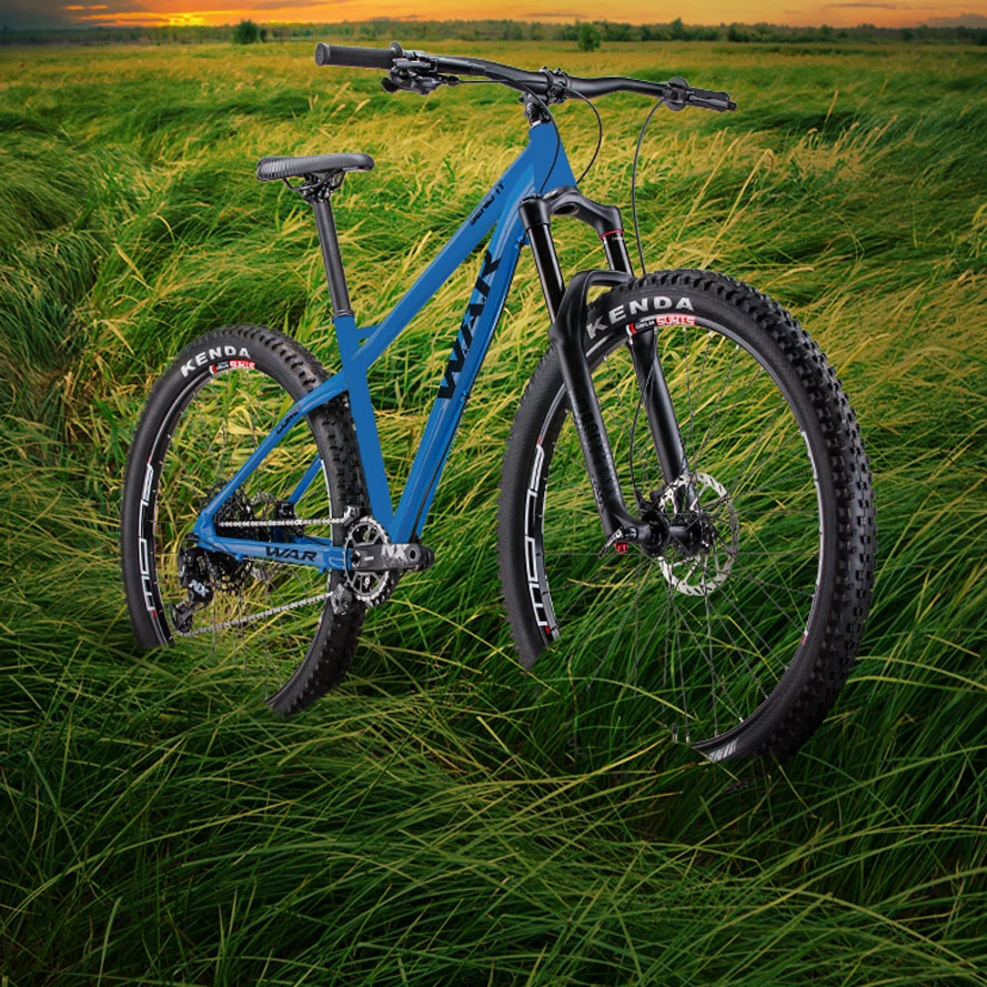 Blue WAR hardtail mountain bike with Kenda tires standing in tall green grass at sunset