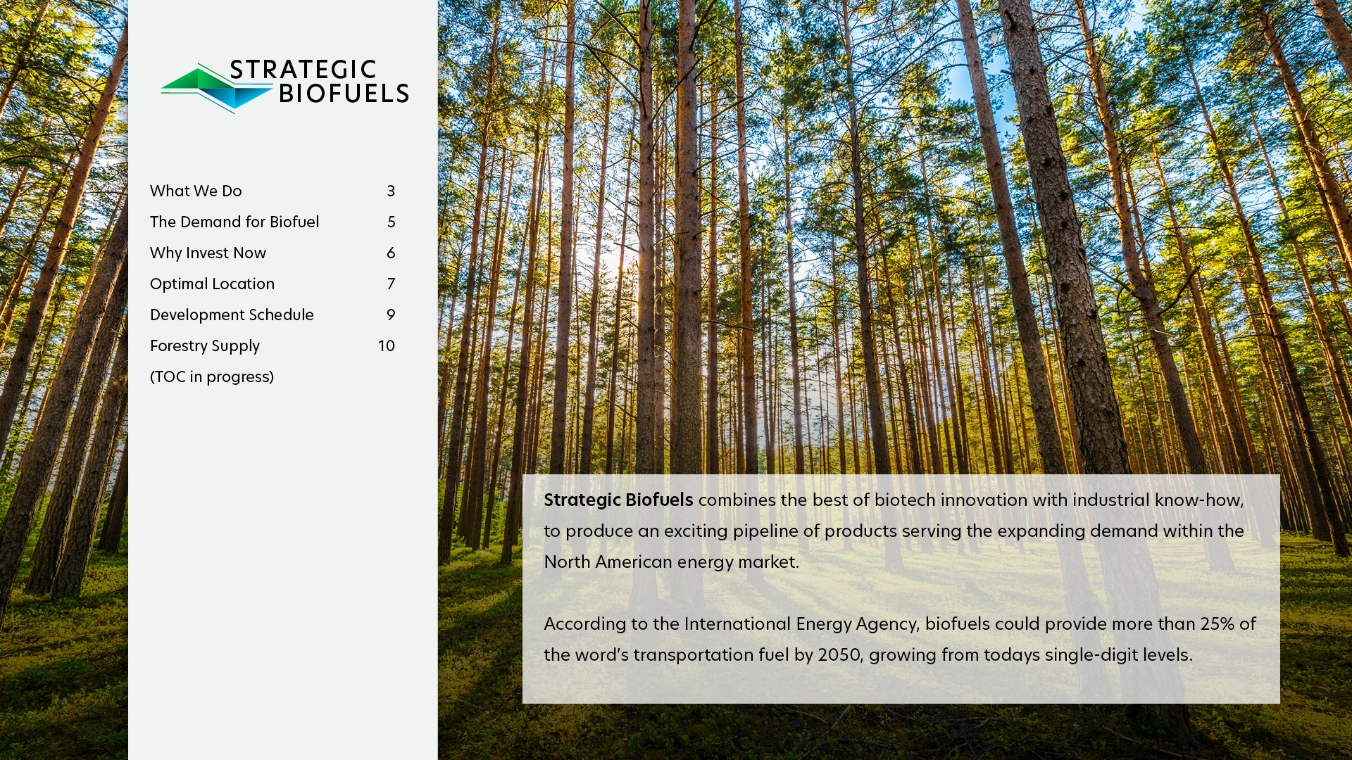 Strategic Biofuels table-of-contents slide over a sunlit pine forest photo, logo and TOC on left panel