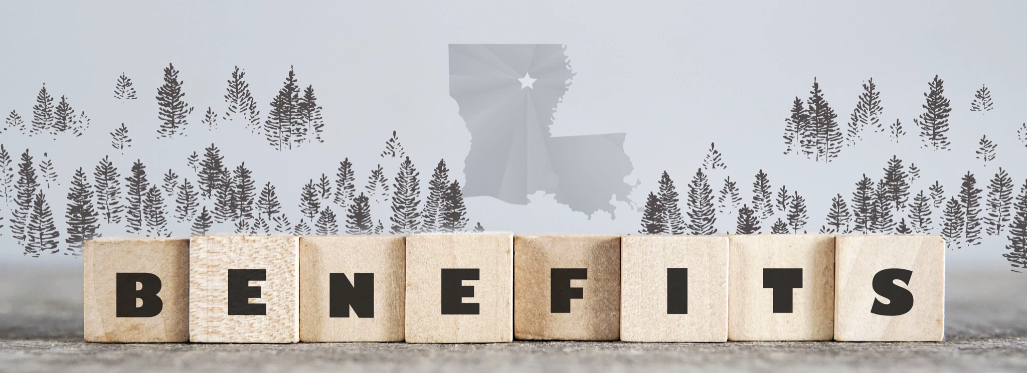 Wooden alphabet blocks spelling "BENEFITS" in front of a faded Louisiana state outline and pine tree silhouettes