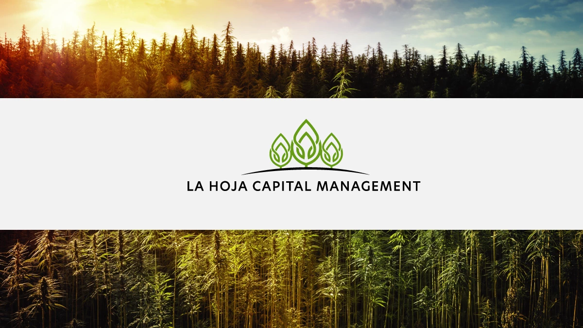 La Hoja Capital Management logo banner: green three-leaf emblem over black wordmark on a light gray band
